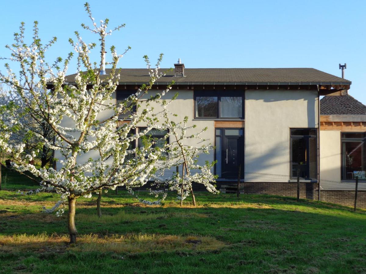 B&B Casa De Paja ซินท์-ทราวเดิน ภายนอก รูปภาพ